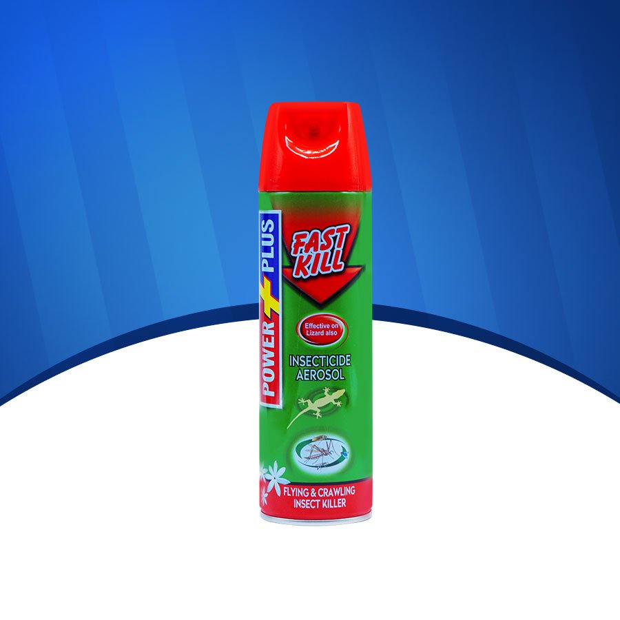 Insecticide Aerosol Lizard